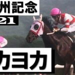 【競馬】ヨカヨカの初仔が誕生する！