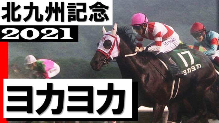 【競馬】ヨカヨカの初仔が誕生する！