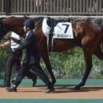 【競馬】オニャンコポンという名前の発音、イントネーション的にこれが正しい？