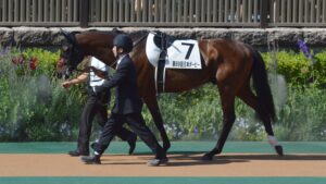 【競馬】オニャンコポンという名前の発音、イントネーション的にこれが正しい？