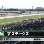 【競馬】京都10R栞Sでキングヘイロー産駒『ヴィジョンオブラヴ』が勝利！これでキングヘイロー産駒は20年連続JRA特別勝ち！