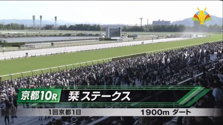 【競馬】京都10R栞Sでキングヘイロー産駒『ヴィジョンオブラヴ』が勝利！これでキングヘイロー産駒は20年連続JRA特別勝ち！