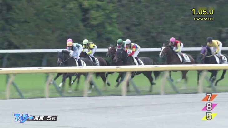 【競馬】フルゲート18頭になった92年以降皐月賞を1枠1番で勝った馬はナリタブライアンとコントレイルだけ ⇒ new! ソールオリエンス　これもう…