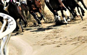 【競馬】実際の陸上で脚質みたいなものがあるのだろうか？