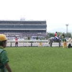 【競馬】ゲートで少しヤンチャしてしまう競走馬も居たりする