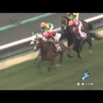 【競馬】オルフェーヴルの阪神大賞典、リアルタイムで見てた人はどんな感じだったんだろう