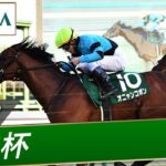 【競馬】オニャンコポンが右前管骨の骨折