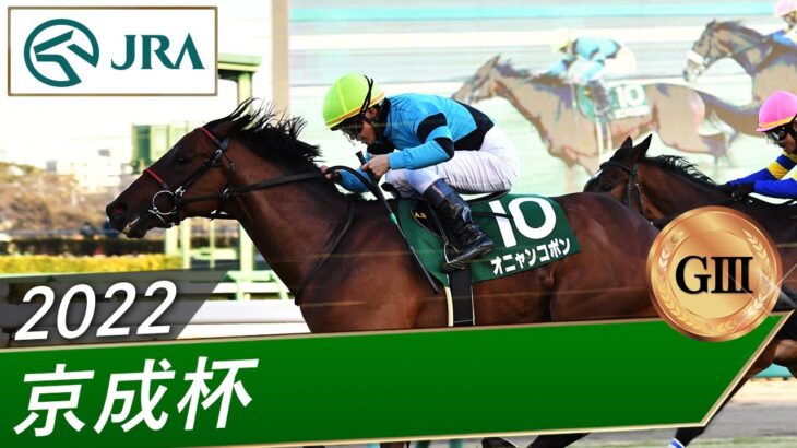 【競馬】オニャンコポンが右前管骨の骨折