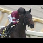 【競馬】藤田社長のチャンスザローゼスは怪我をしていたと判明　夏前に復帰予定とのこと