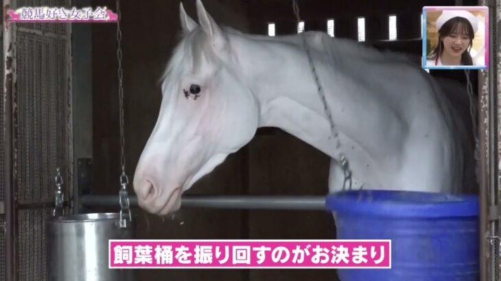 【競馬】ソダシのプライベート映像が公開！甘えててめっちゃ可愛い！