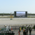 【競馬】コパノリッキー産駒のセブンカラーズの戦績に驚いた…！