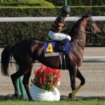 【競馬】キタサンブラック、種牡馬としてのお仕事を頑張っている模様