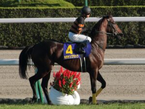 【競馬】キタサンブラック、種牡馬としてのお仕事を頑張っている模様