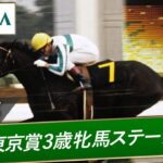 【競馬】JRAさん、メジロラモーヌのG2・G3勝利レースを計4本公開！