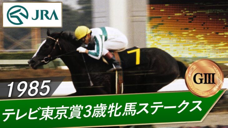 【競馬】JRAさん、メジロラモーヌのG2・G3勝利レースを計4本公開！