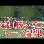 【競馬】新馬戦でソールオリエンスのクビ差2着だった『レーベンスティール』強い！母父はトウカイテイオー