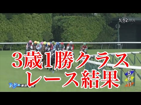 【競馬】新馬戦でソールオリエンスのクビ差2着だった『レーベンスティール』強い！母父はトウカイテイオー