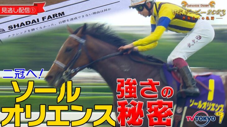 【競馬】『日本ダービー2023〜夢舞台への軌跡〜』が見逃し配信中！　感想まとめ