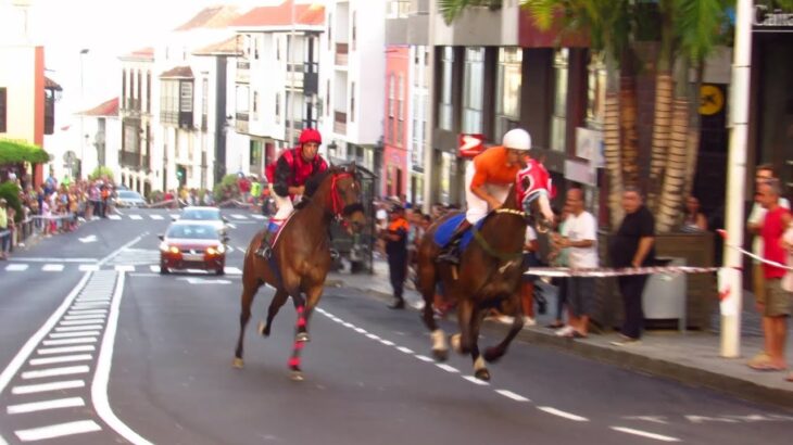 【競馬】世界にはアスファルトの公道で行われる競馬もあるのか