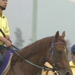 【競馬】改めてテイエムオペラオーの戦績はおかしいと思う