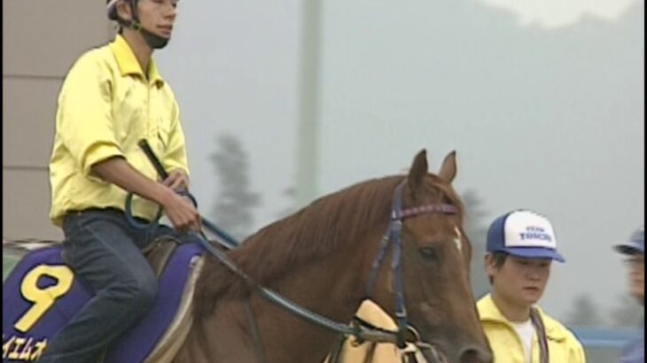 【競馬】改めてテイエムオペラオーの戦績はおかしいと思う