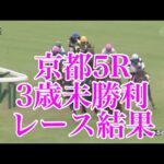 【競馬】今日の京都5Rで歴代1位の複勝配当！血統もすごいウマ娘だ