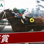 【競馬】岡部騎手てすごかったの？