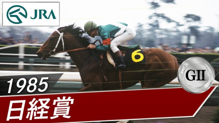 【競馬】岡部騎手てすごかったの？