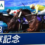 【競馬】ウマ娘やってると感覚狂うけど、オープン馬ってどのくらいの上澄みなの？