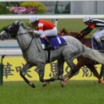 【競馬】今浪厩務員の｢アイツに比べたら｣でどの馬を指してるのか伝わる