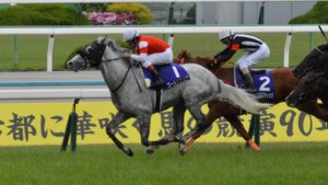 【競馬】今浪厩務員の｢アイツに比べたら｣でどの馬を指してるのか伝わる