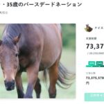 ナイスネイチャ35歳のバースデードネーションは7300万円でフィニッシュ！