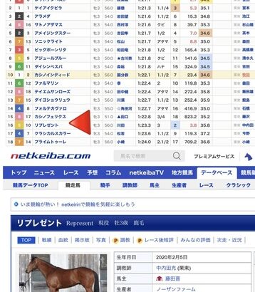 【ウマ娘】藤田社長の3億円馬、ひっそりと未勝利戦16着