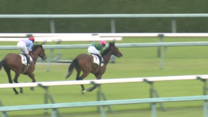 【競馬】新馬戦にてジャスタウェイ産駒のヒヒーンが初勝利！これまた面白い名前