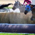 【競馬】障害馬は気性難って結構多いのだろうか…？