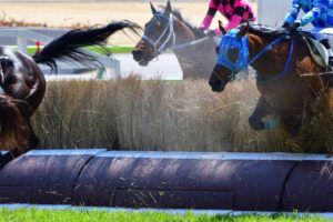 【競馬】障害馬は気性難って結構多いのだろうか…？