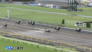 【競馬】ピンクダイヤの逆走、正面衝突と言う事態にならなくて良かった…