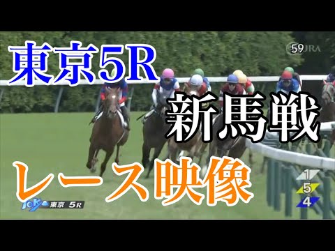 【ウマ娘民の反応】藤田社長の『ボンドガール』、デビュー戦を勝利！上がりは33秒0！