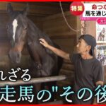 馬と命殺処分を免れ 引退馬と伝える命 元ジョッキーの思い