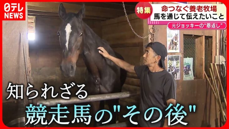 馬と命殺処分を免れ 引退馬と伝える命 元ジョッキーの思い