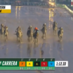 競馬大雨の影響によりレース場が水浸しでまるで田んぼのような馬場だ