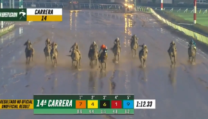 競馬大雨の影響によりレース場が水浸しでまるで田んぼのような馬場だ