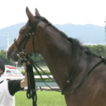 【競馬】ヒヒーンは珍名馬界の若駒と聞いて他にどんな馬が居るのか？