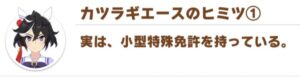【ウマ娘】カツラギエースちゃんのヒミツ、小型特殊免許を持っている模様！