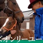 【競馬】ラヴズオンリーユーの2023、4000口募集があっという間に残りわずか