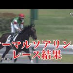 【競馬】サーマルソアリング、3歳ダートにまた怪物が現る