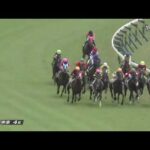 【競馬】スイープトウショウ最後の産駒『スイープアワーズ』が4戦目で初勝利！