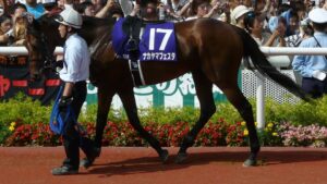 【競馬】ナカヤマフェスタが種牡馬を引退、うらかわ優駿ビレッジAERUにて余生を過ごすことに