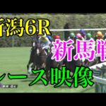 【競馬】西山オーナー太鼓判の『ニシノコマチムスメ』がデビュー戦を勝利！