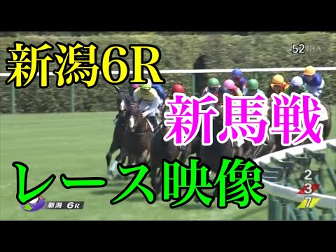 【競馬】西山オーナー太鼓判の『ニシノコマチムスメ』がデビュー戦を勝利！